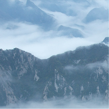 DDOS网页端平台
